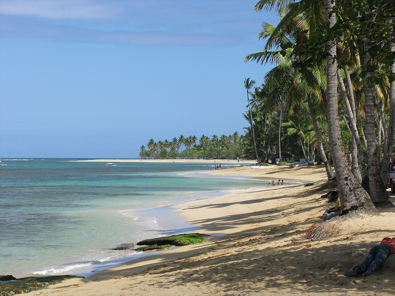 Palm-lined beach in Las Terrenas