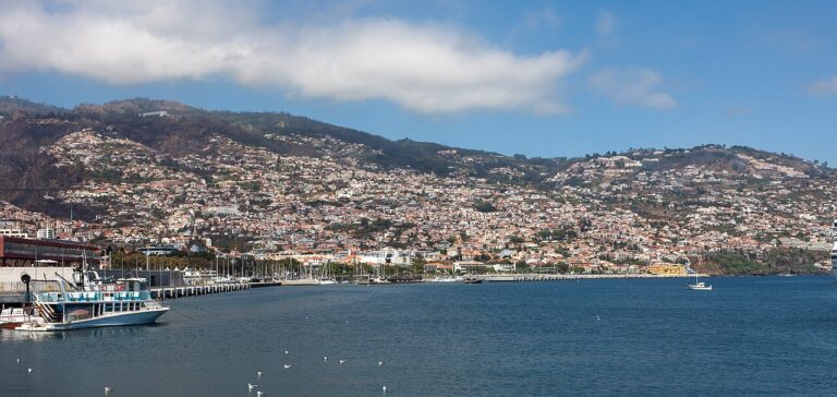 Funchal city and harbour, Madeira