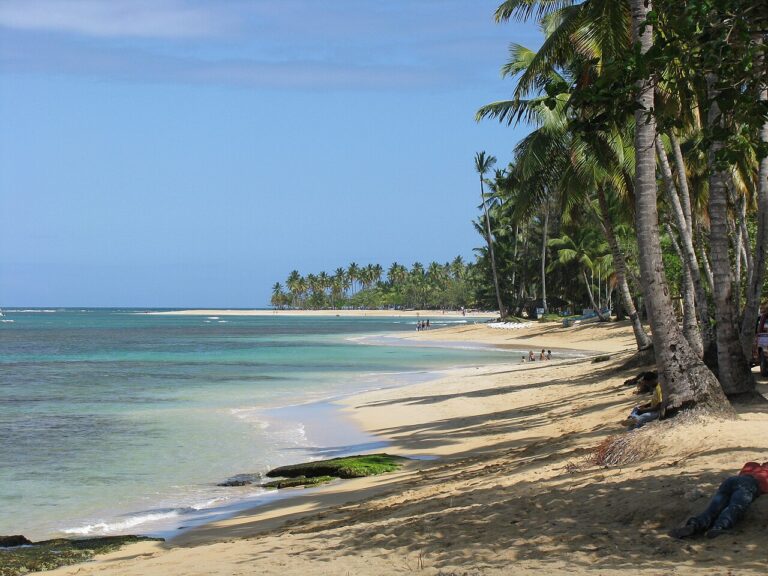 Palm-lined beach in Las Terrenas